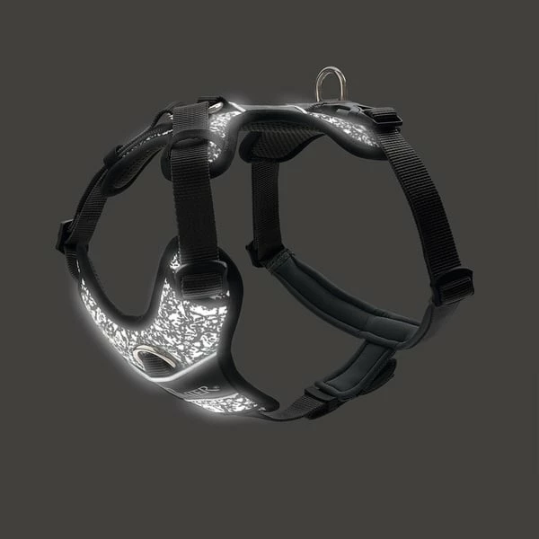 Hunter Geschirr Divo Reflect Schwarz â Bild 2