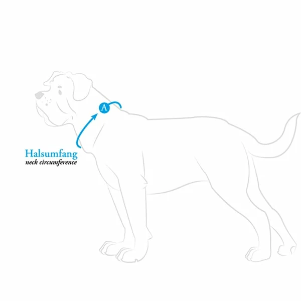 Hunter Halsung Divo Rot – Bild 8