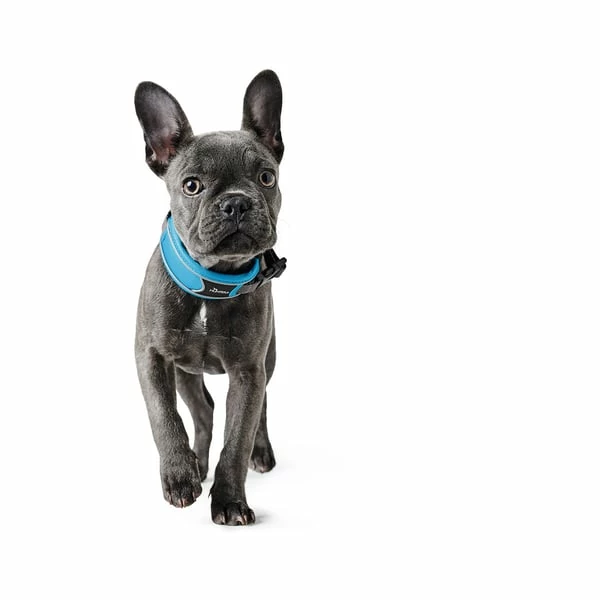 Hunter Halsung Divo Rot – Bild 4