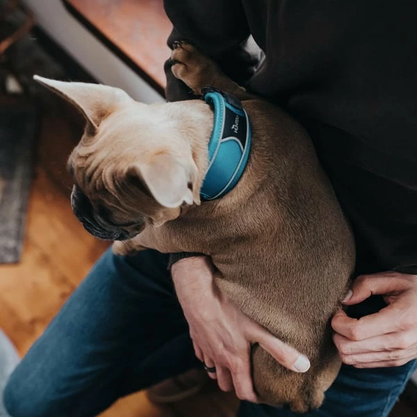 Hunter Halsung Divo Rot – Bild 5