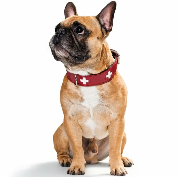 Hunter Swiss Halsband Rot/schwarz â Bild 3