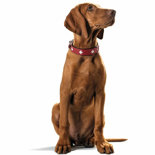 Hunter Swiss Halsband Rot/schwarz â Bild 6