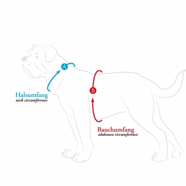 Hunter Geschirr Maldon Petrol â Bild 5