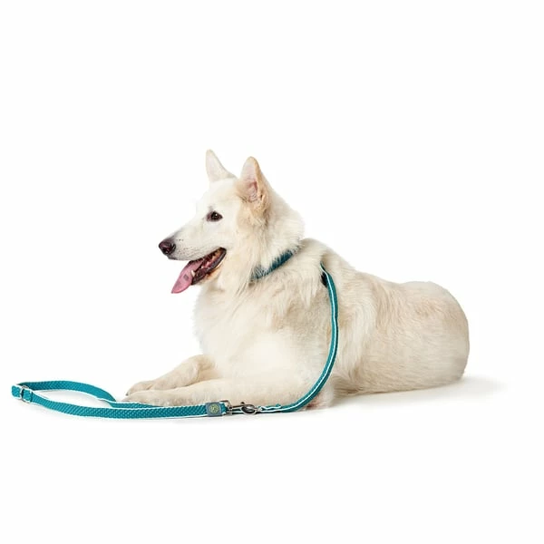 Hunter Verstellbare Führleine Hilo Braun – Bild 2