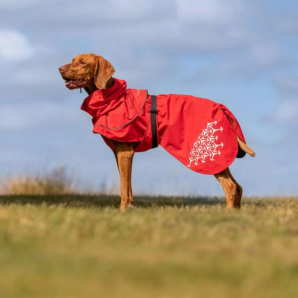 IEnergy LUN Hunderegenmantel – Bild 2