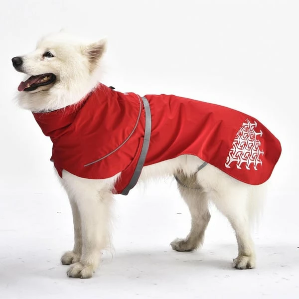 IEnergy LUN Hunderegenmantel – Bild 5