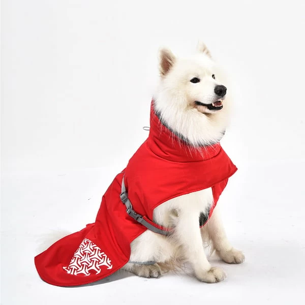 IEnergy JUD Hundewintermantel – Bild 5