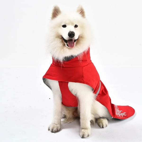 IEnergy JUD Hundewintermantel – Bild 6