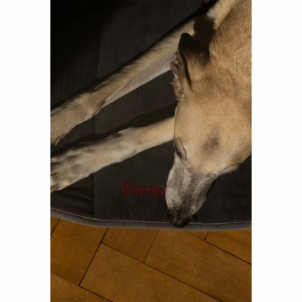IEnergy BUR Hundematte â Bild 5