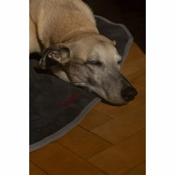 IEnergy BUR Hundematte â Bild 6