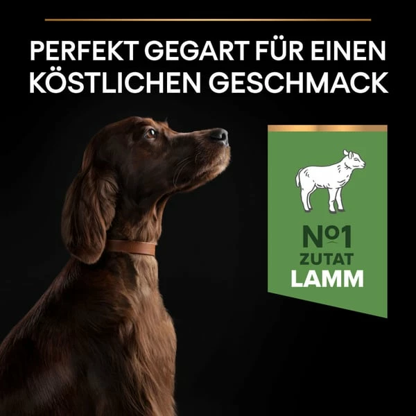 PRO PLAN Large Athletic Adult Sensitive Digestion Lamm â Bild 4