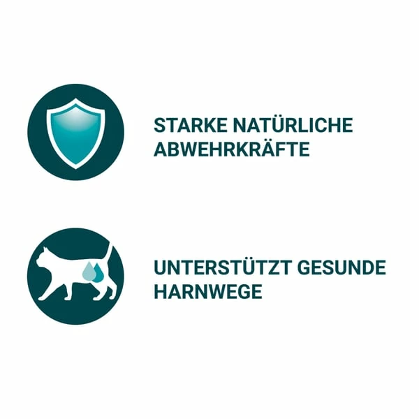 PURINA ONE Adult In Sauce Sorten-Mix 40x85g – Bild 2