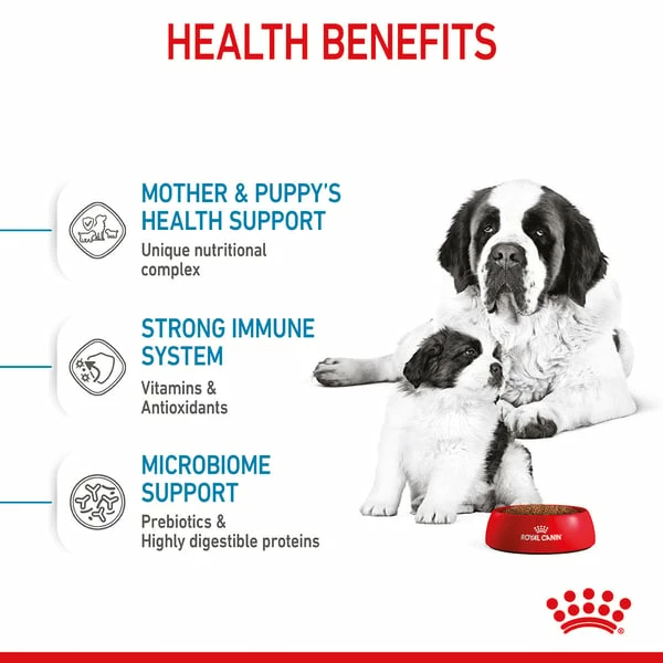 ROYAL CANIN GIANT Starter Für Tragende Hündin Und Welpen Sehr Großer Rassen – Bild 5