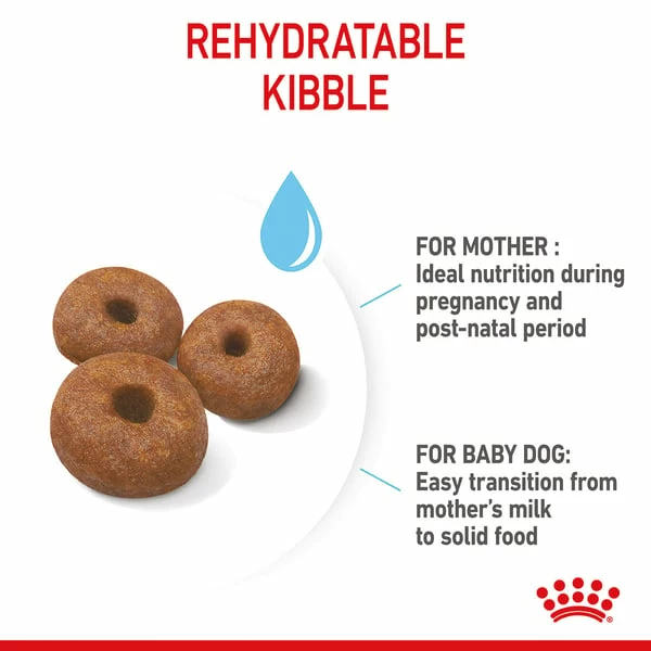 ROYAL CANIN GIANT Starter Für Tragende Hündin Und Welpen Sehr Großer Rassen – Bild 6