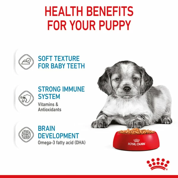 ROYAL CANIN MEDIUM PUPPY Welpenfutter Nass Für Mittelgroße Hunde – Bild 4