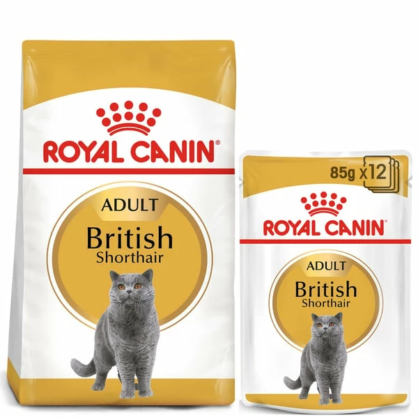 ROYAL CANIN ADULT British Shorthair 10kg + Nassfutter In Soße 48x85g – Bild 7