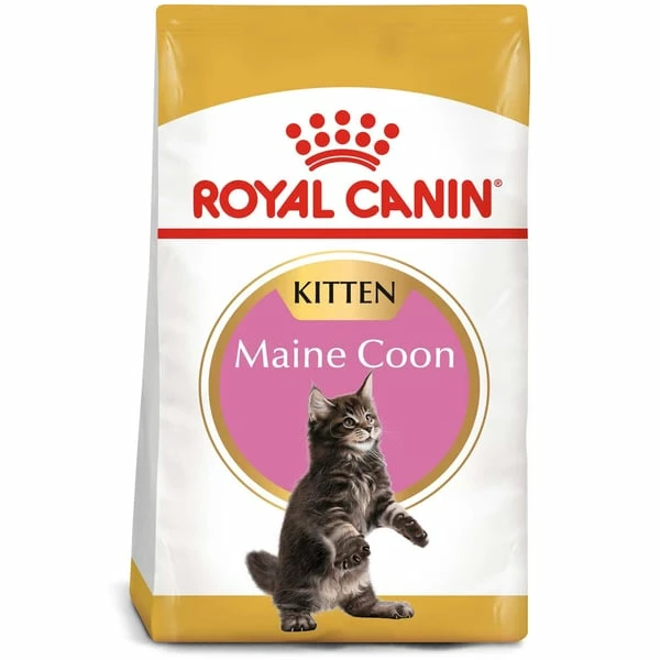 ROYAL CANIN Maine Coon Trockenfutter Für Kätzchen – Bild 8