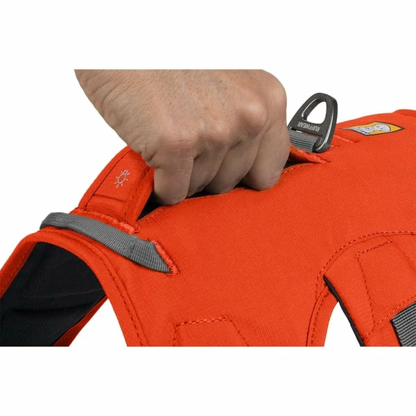 Ruffwear Geschirr Web Master Blaze Orange – Bild 6