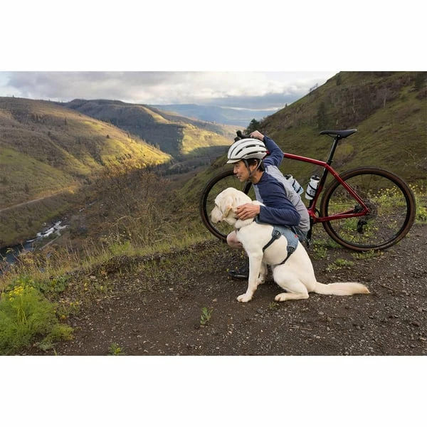 Ruffwear Geschirr Web Master Slate Blue – Bild 10