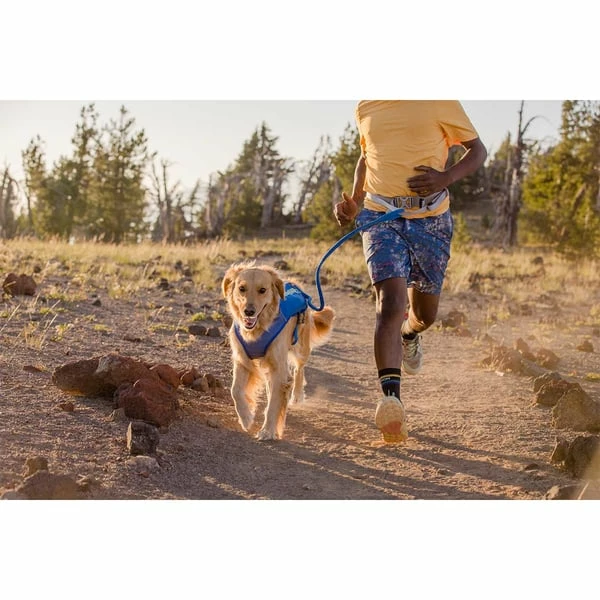 Ruffwear Trail Runner Leine – Bild 4
