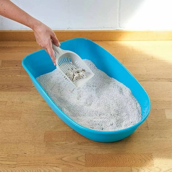 ZooRoyal Tigrooo Blue Magic – Bild 2