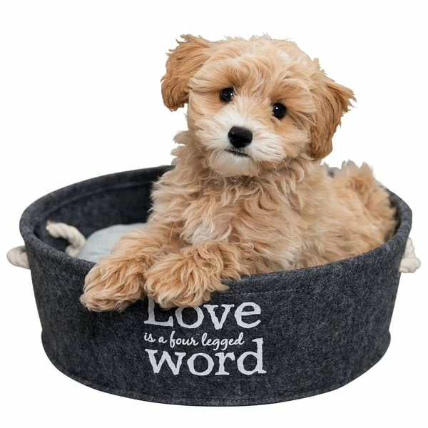 Trixie Filzschlafplatz Lian In Grau â Bild 4