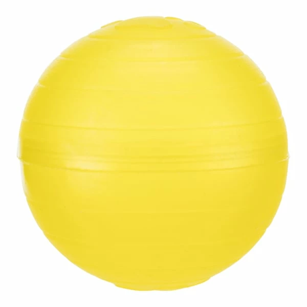 Trixie Spielplatte Race & Scratch – Bild 5