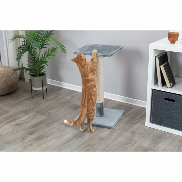 Trixie Kratzbaum Baena 69 Cm â Bild 4