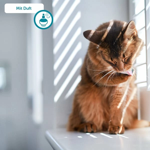 ZooRoyal Tigrooo Blue Magic – Bild 8