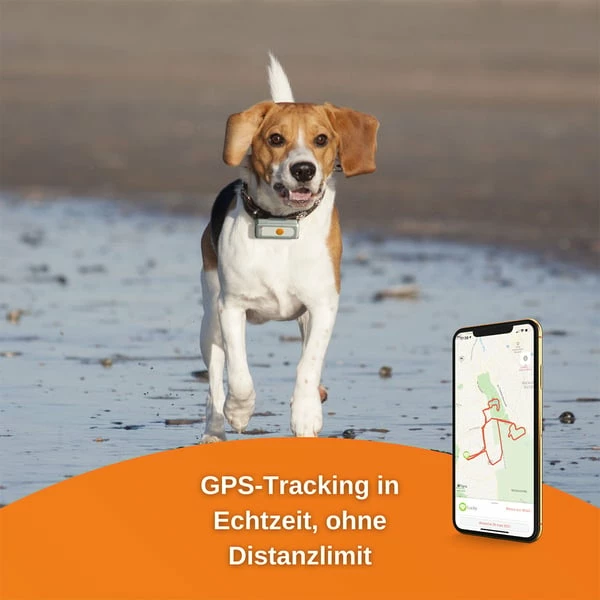Weenect Dogs 2 - GPS Tracker Für Hunde – Bild 3
