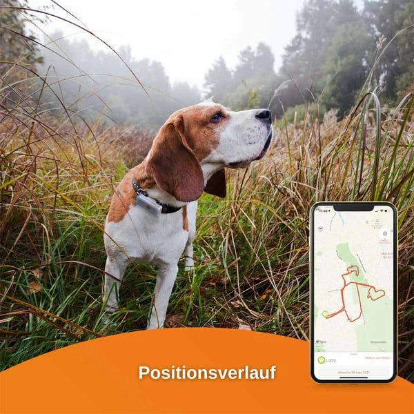 Weenect Dogs 2 - GPS Tracker Für Hunde – Bild 7