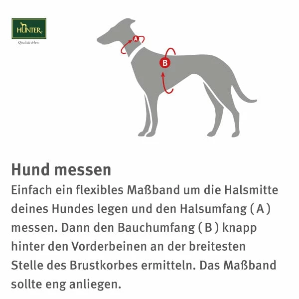 Hunter Neopren Geschirr Braun/karamell â Bild 2