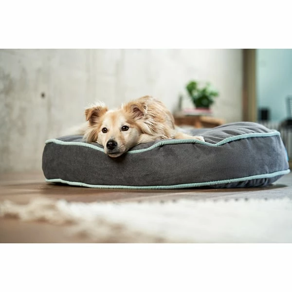 ZooRoyal Hundekissen Elias Anthrazit – Bild 14