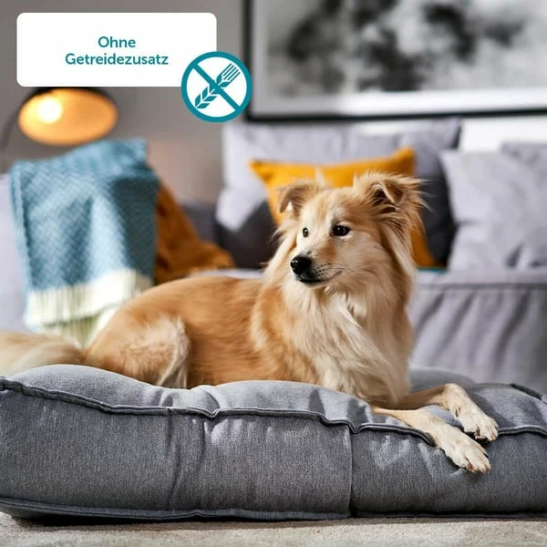 ZooRoyal Monoprotein Huhn Trockenfutter – Bild 4