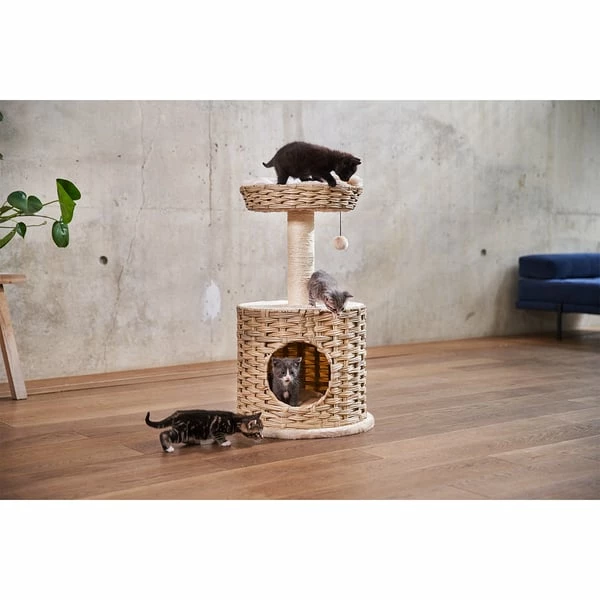 ZooRoyal Kratzbaum Dora 73 Cm Creme – Bild 12