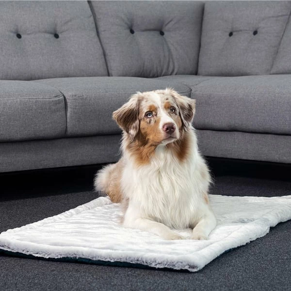 ZooRoyal Premium Haustier Kuscheldecke Luna 115x71 Cm â Bild 2