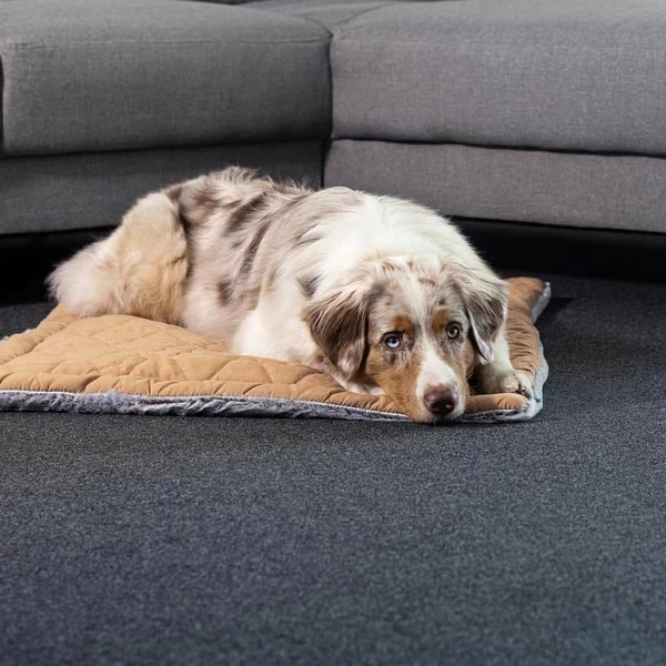 ZooRoyal Premium Haustier Kuscheldecke Luna 115x71 Cm â Bild 3