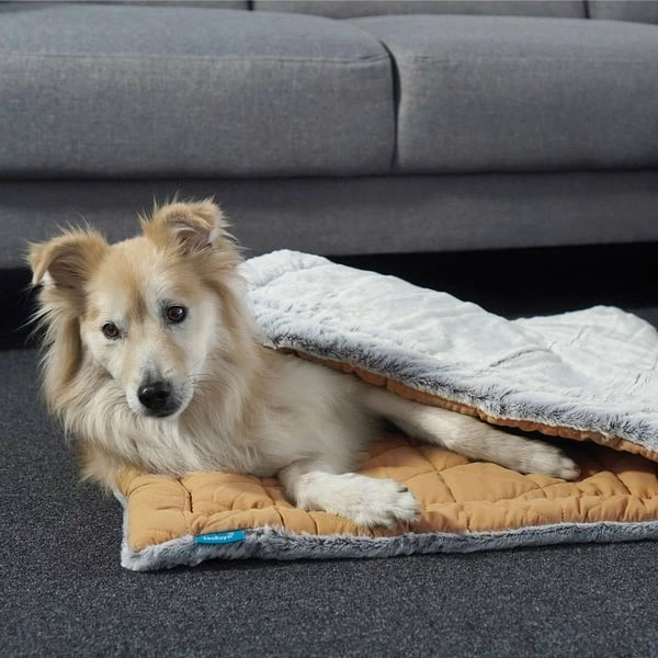 ZooRoyal Premium Haustier Kuscheldecke Luna 115x71 Cm â Bild 5